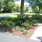 landscaping4