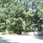 landscaping7
