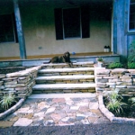 mlg_image_07